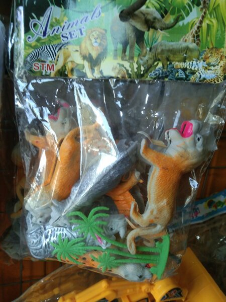 Animals