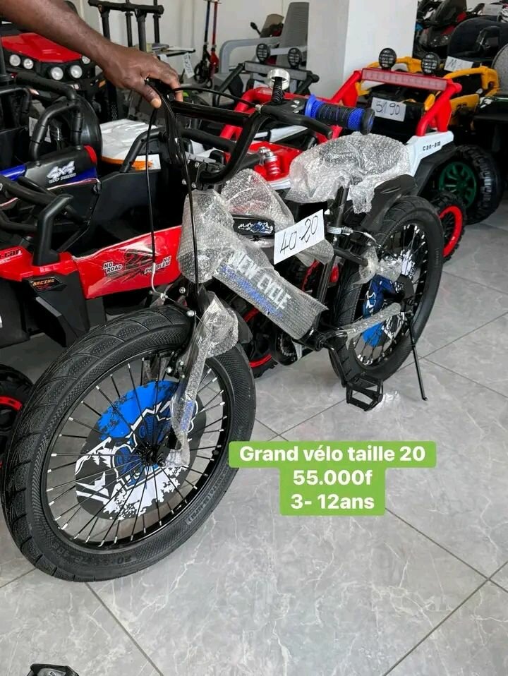 Vélo Enfant Taille 20