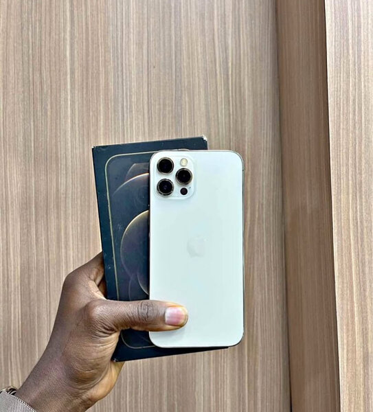 iPhone 12 Pro Max 256GB Blanc