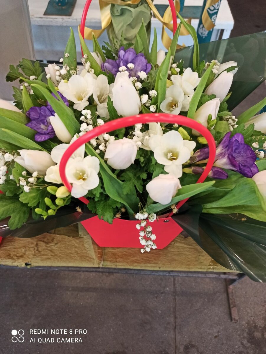 Тюльпан,фрезия