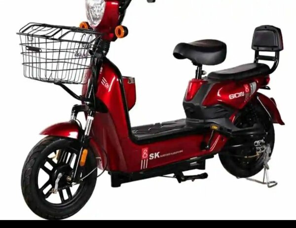 Tricycle électrique SK 3 roues