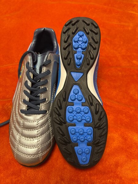 Сороконожки