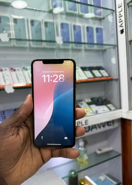 Xs Max 256Go