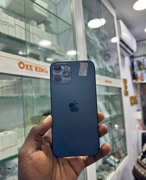 iPhone 13Pro Max 256Go