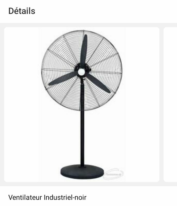 Ventilateur Industriel Noir