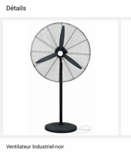 Ventilateur Industriel Noir