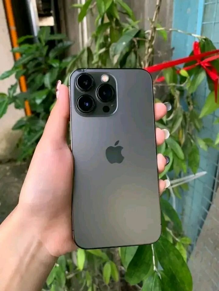 iPhone Pro Max 256GB