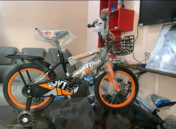 Vélo enfant coloré 16 pouces