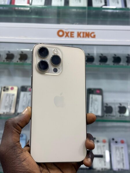 iPhone 13 Pro Max Argent