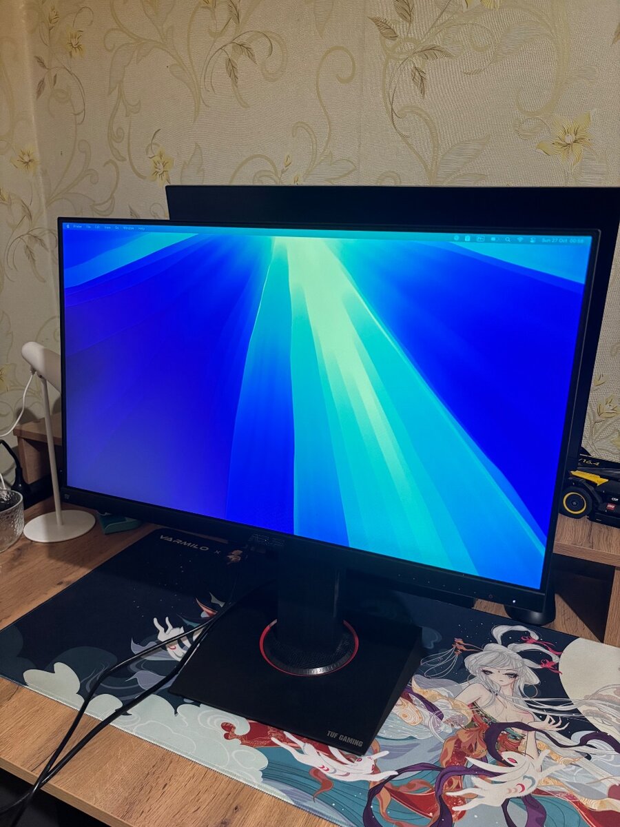 Asus TUF Gaming VG249Q