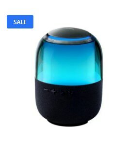 Speaker