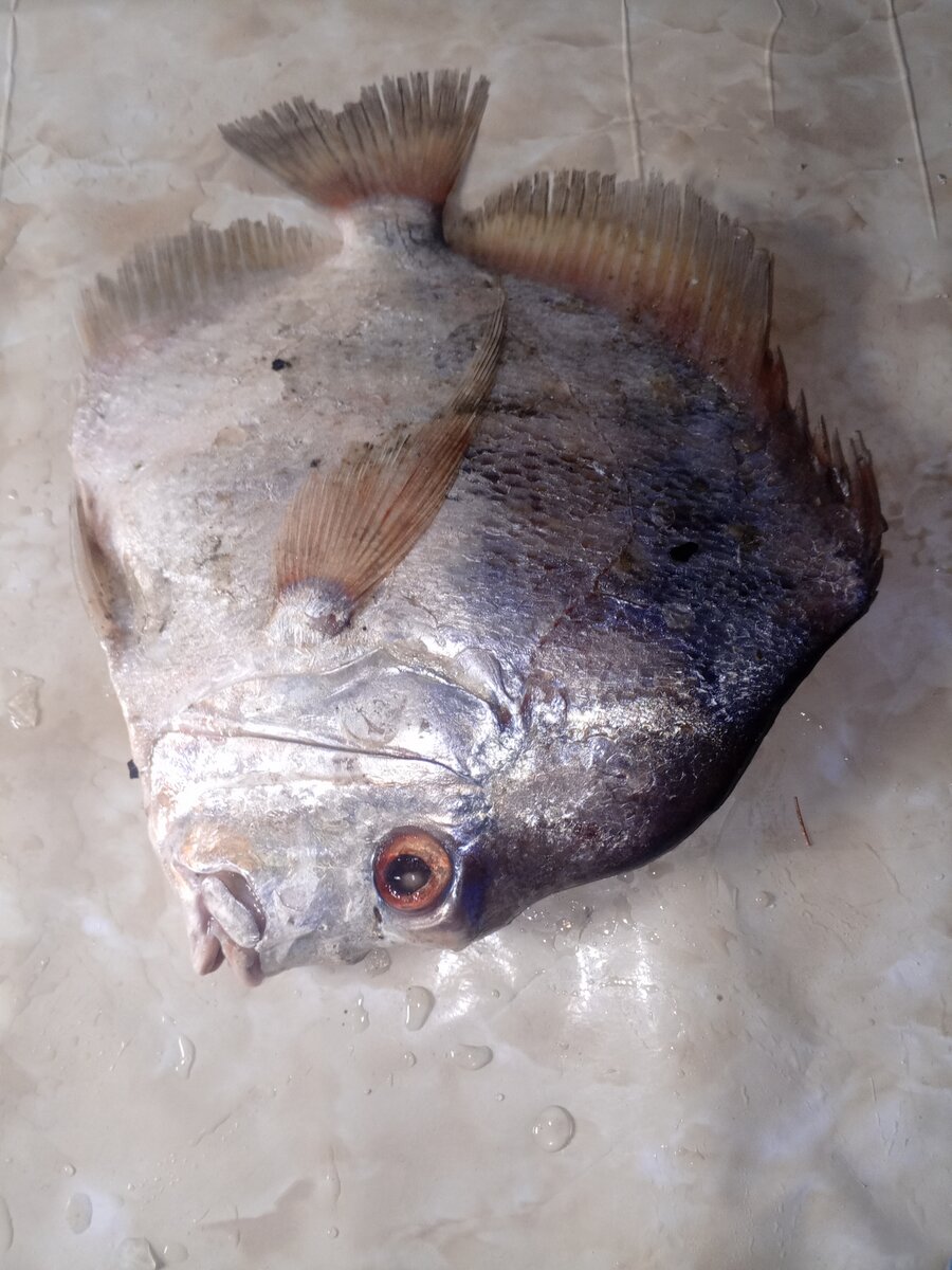 Poisson frais entier