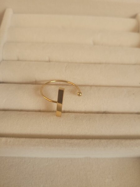 Bague en acier inoxydable