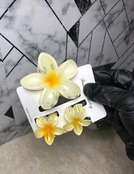 Barrette fleurs 3 en 1