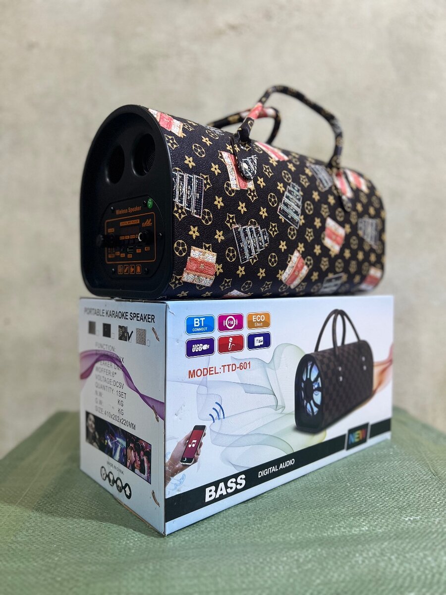 Enceinte karaoke portable Bluetooth