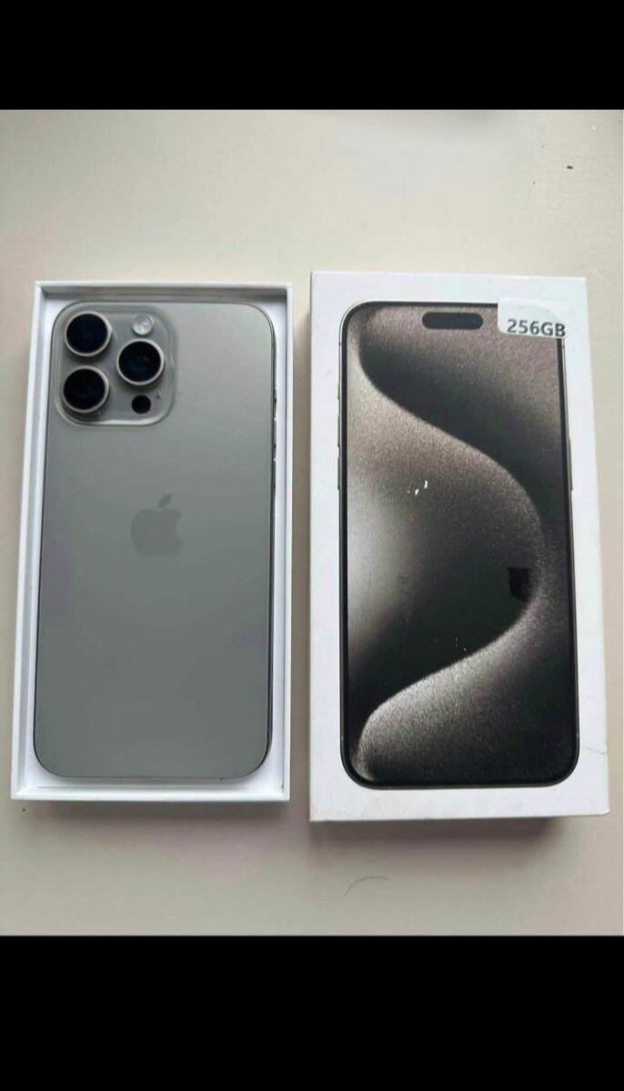 iPhone13 Pro max 256 Go Argent