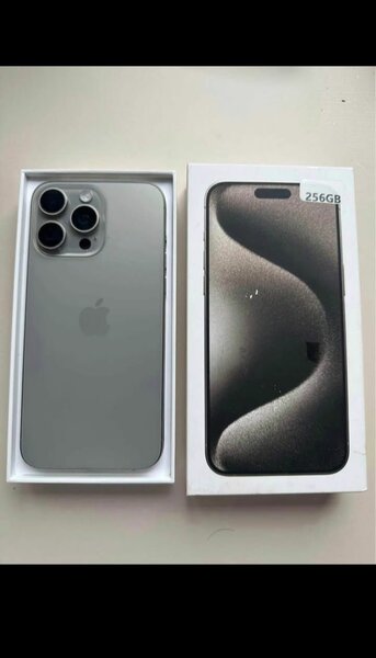 iPhone13 Pro max 256 Go Argent