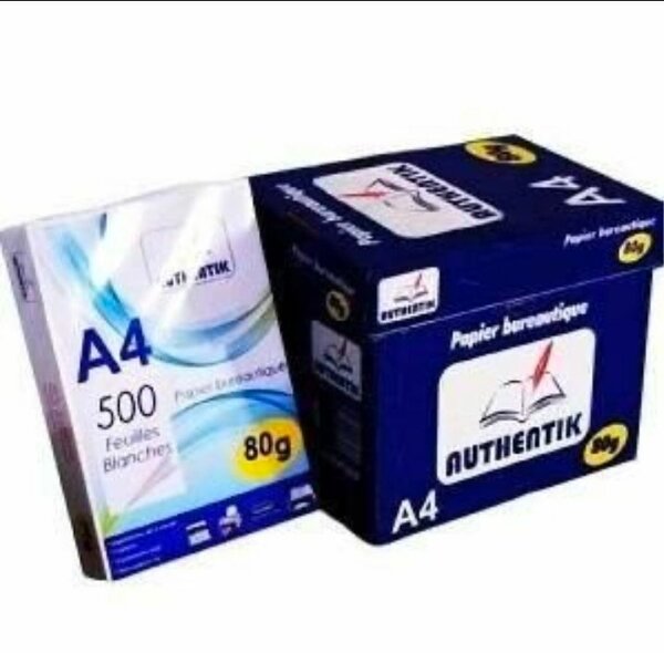 Papier rame Authentik A4 80g