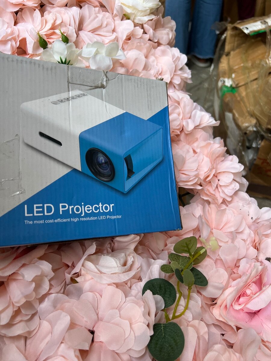 Projector