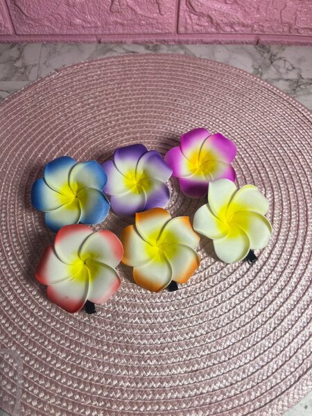 Barrettes Fleuries  (1)