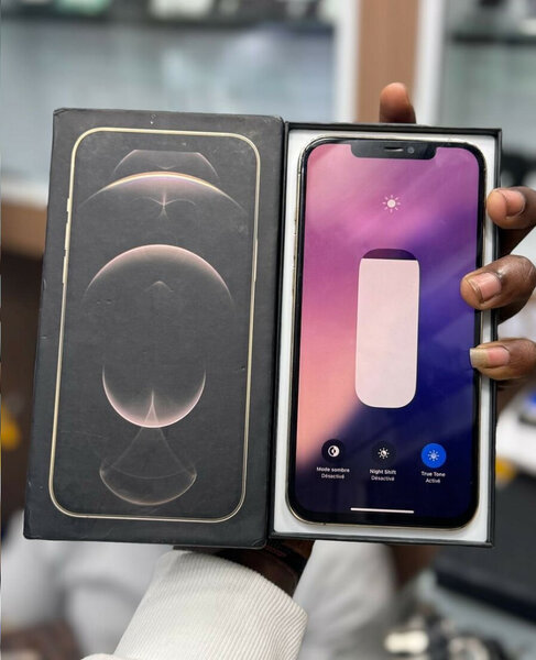 iPhone 12 Pro Max 256GB