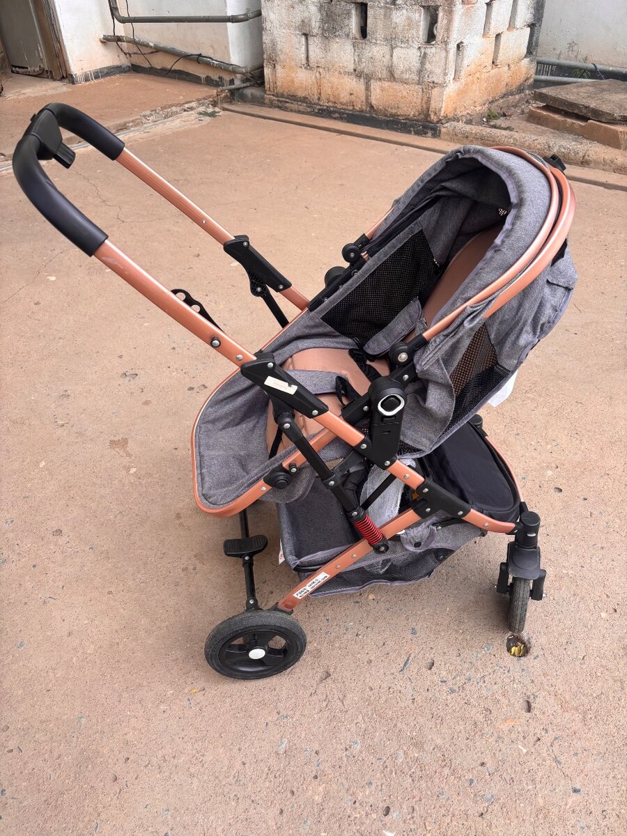 Luxury Stroller -Adjustable and foldable