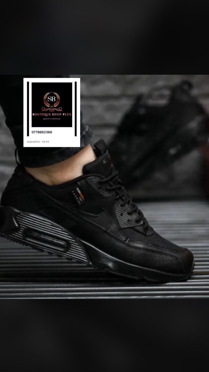 Basket Nike air Max authentique avec sa boîte