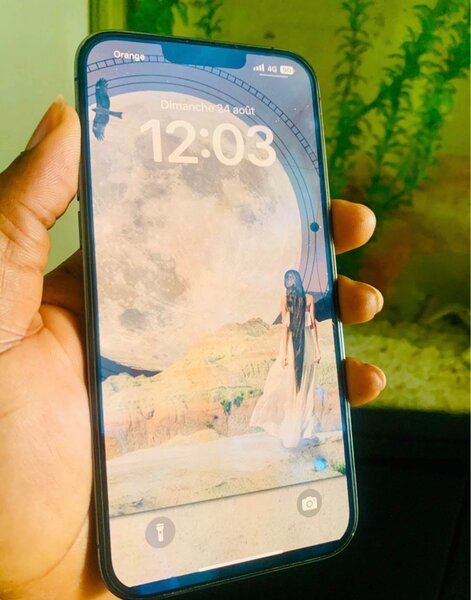 iPhone 13 Pro Max 256GB