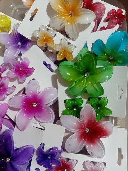 Épingles à cheveux fleurs colorées