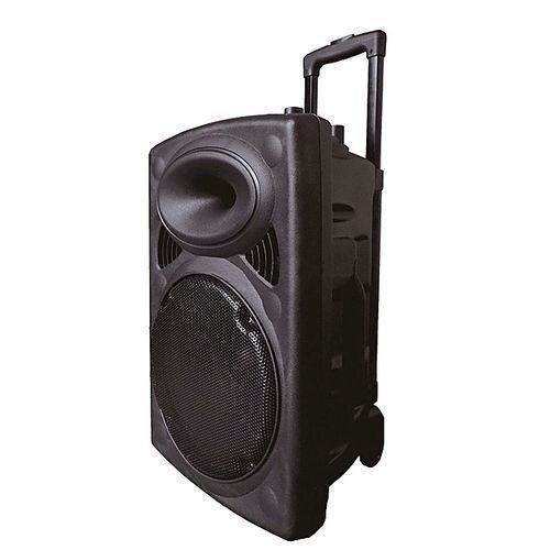 Enceinte portable D-15