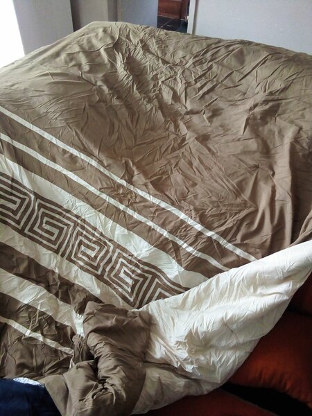 Duvets and bedspreads