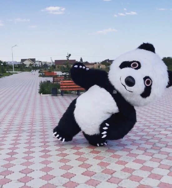 Панда