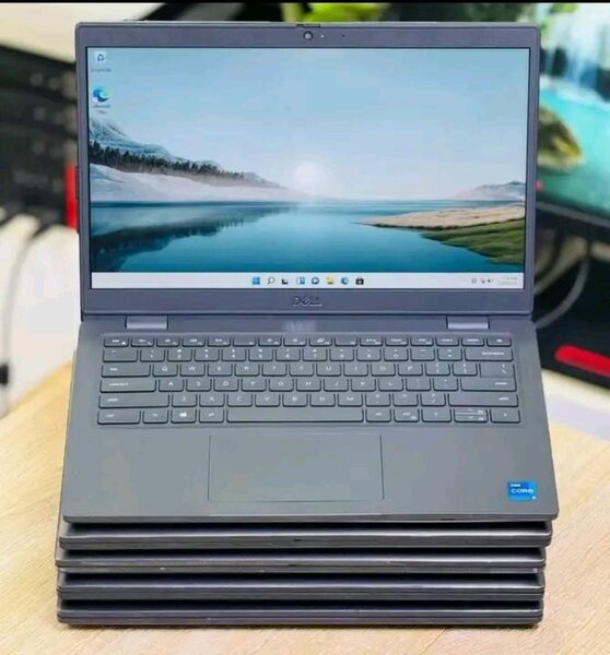 Ordinateur portable Dell professionnel