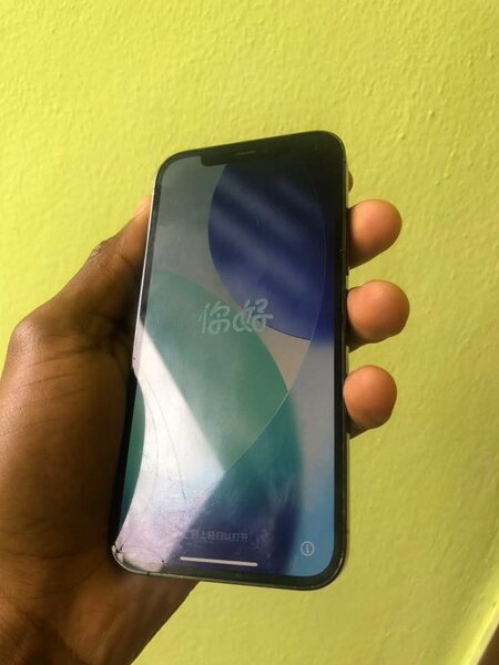 iPhone 12 Pro Max Gris sans id
