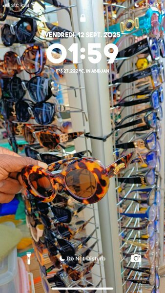 Lunettes de soleil rétro chic