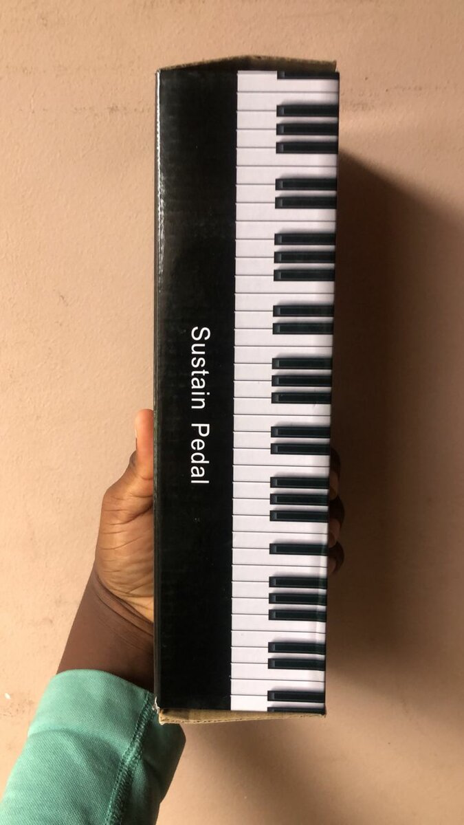 Pédale de Sustain Universelle