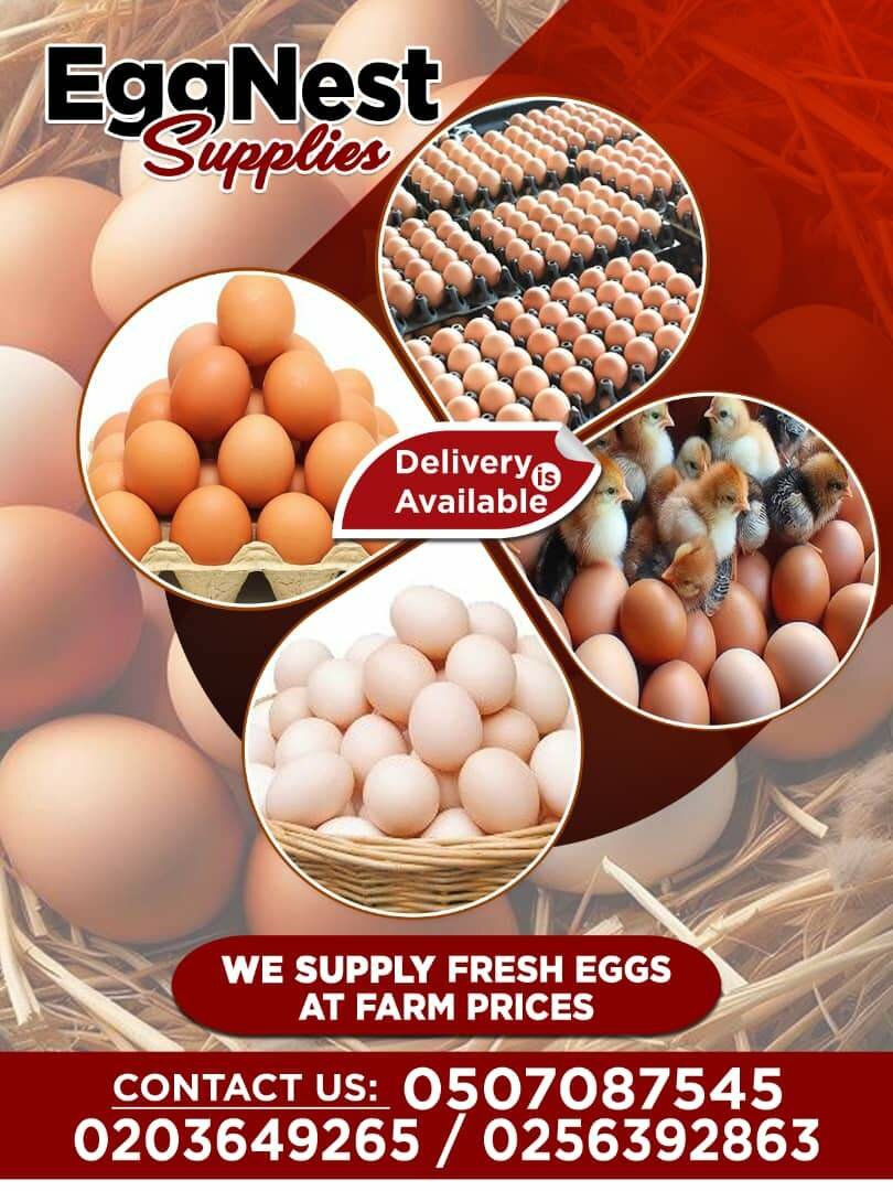 Fresh farm eggs
