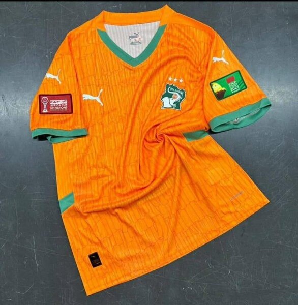 Maillot Côte d'Ivoire Puma