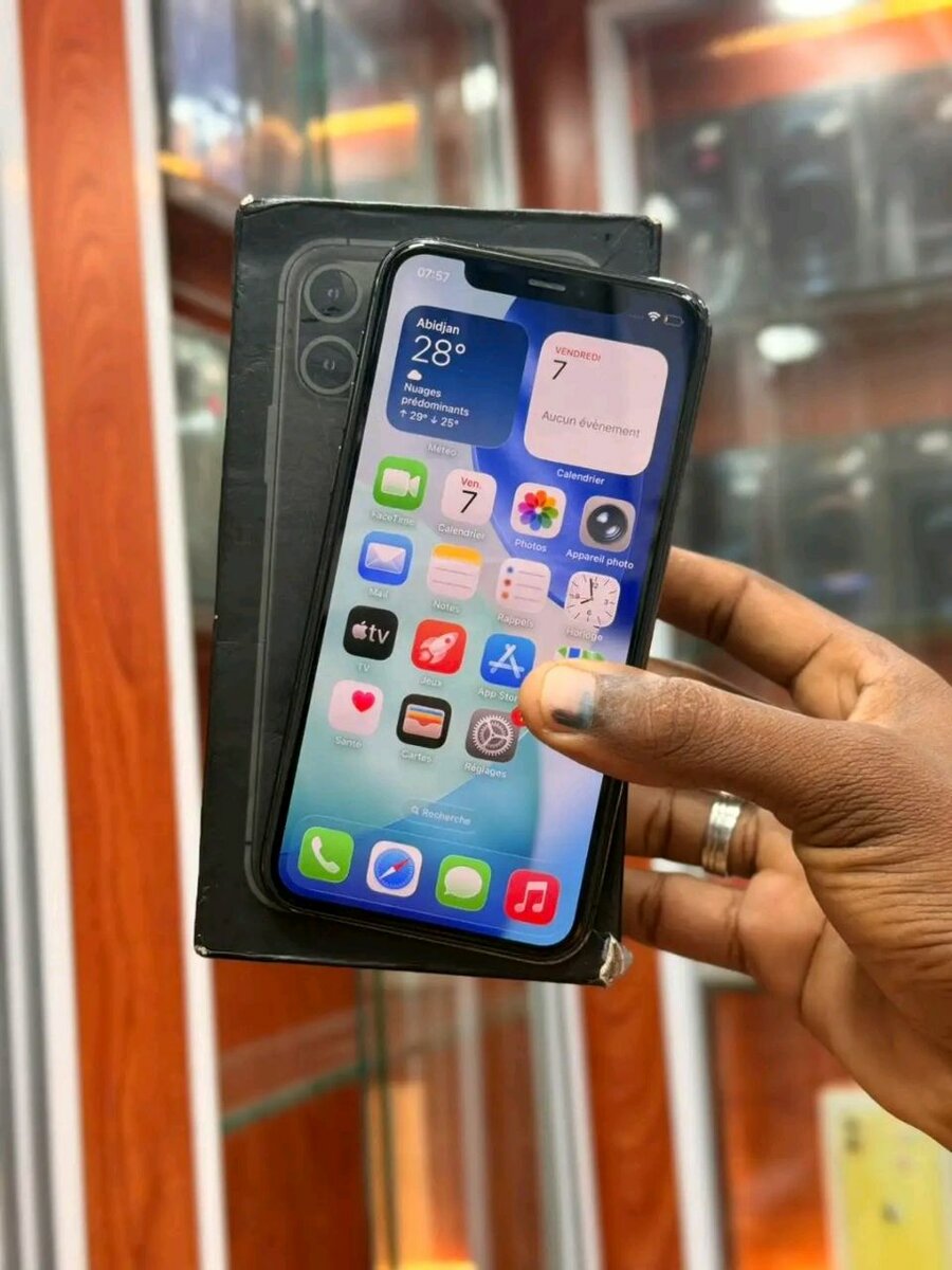 iPhone 12 Pro Max Gris