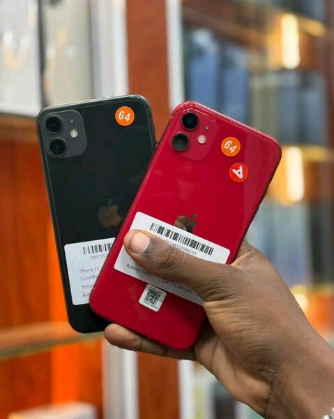 iPhone 11 variété de couleurs