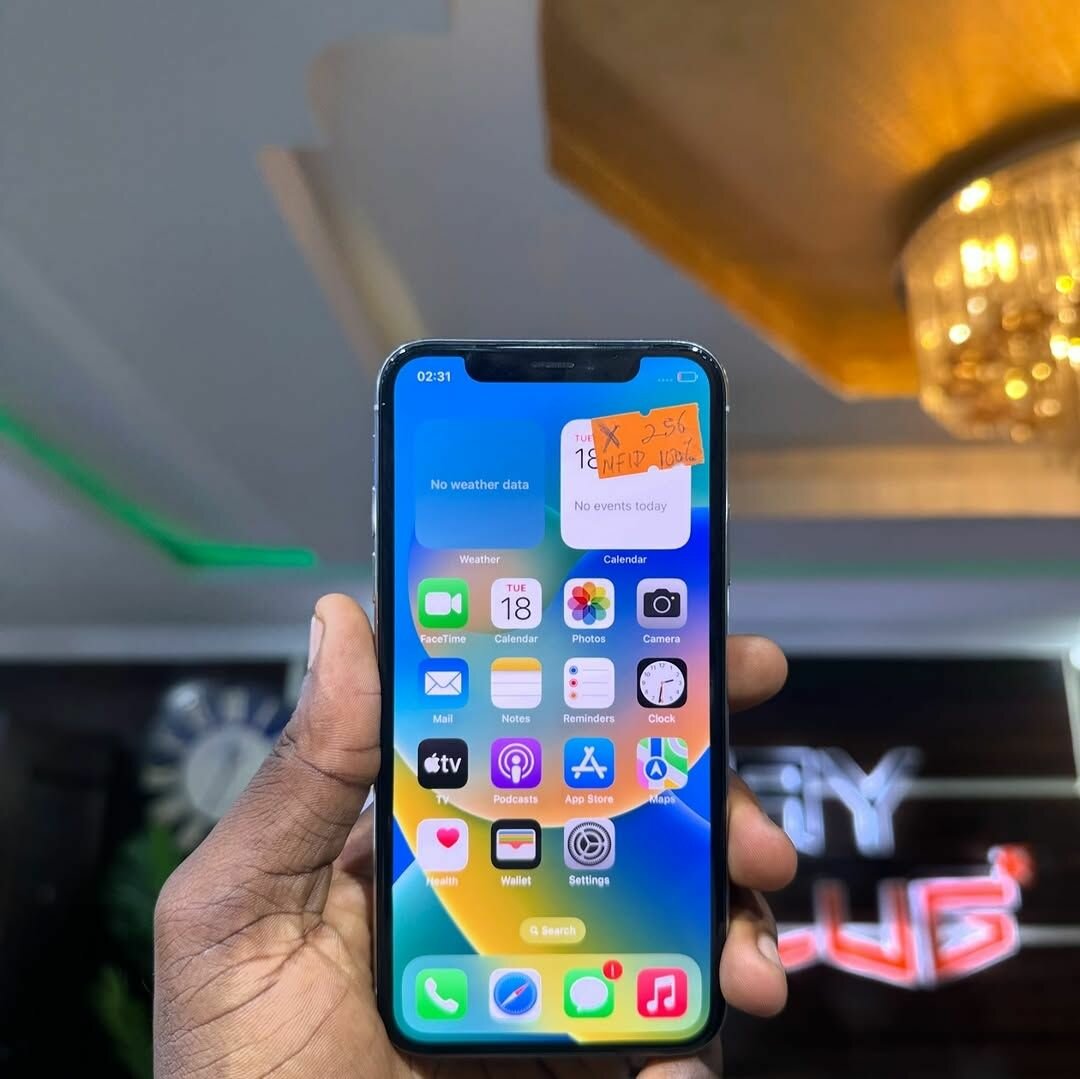 APPLY IPHONE X 256GB