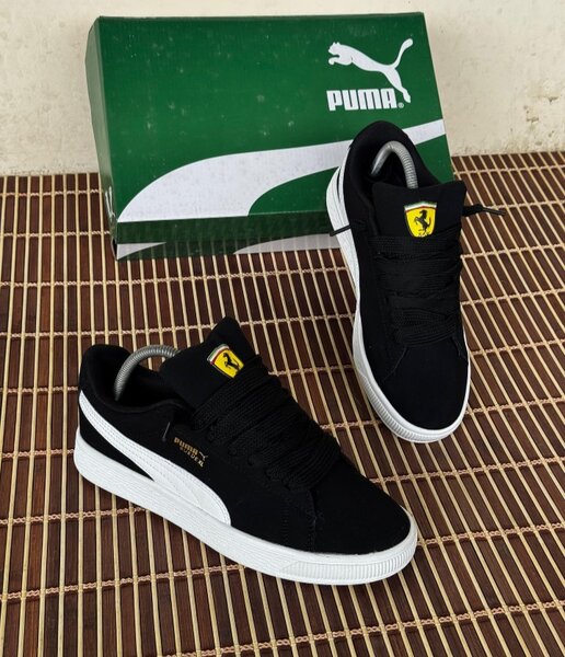 Basket  puma
