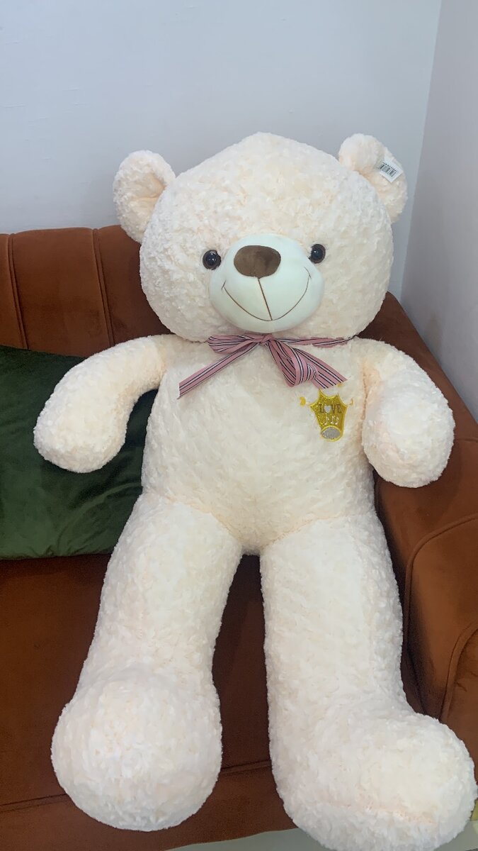 Ours en peluche géant doux