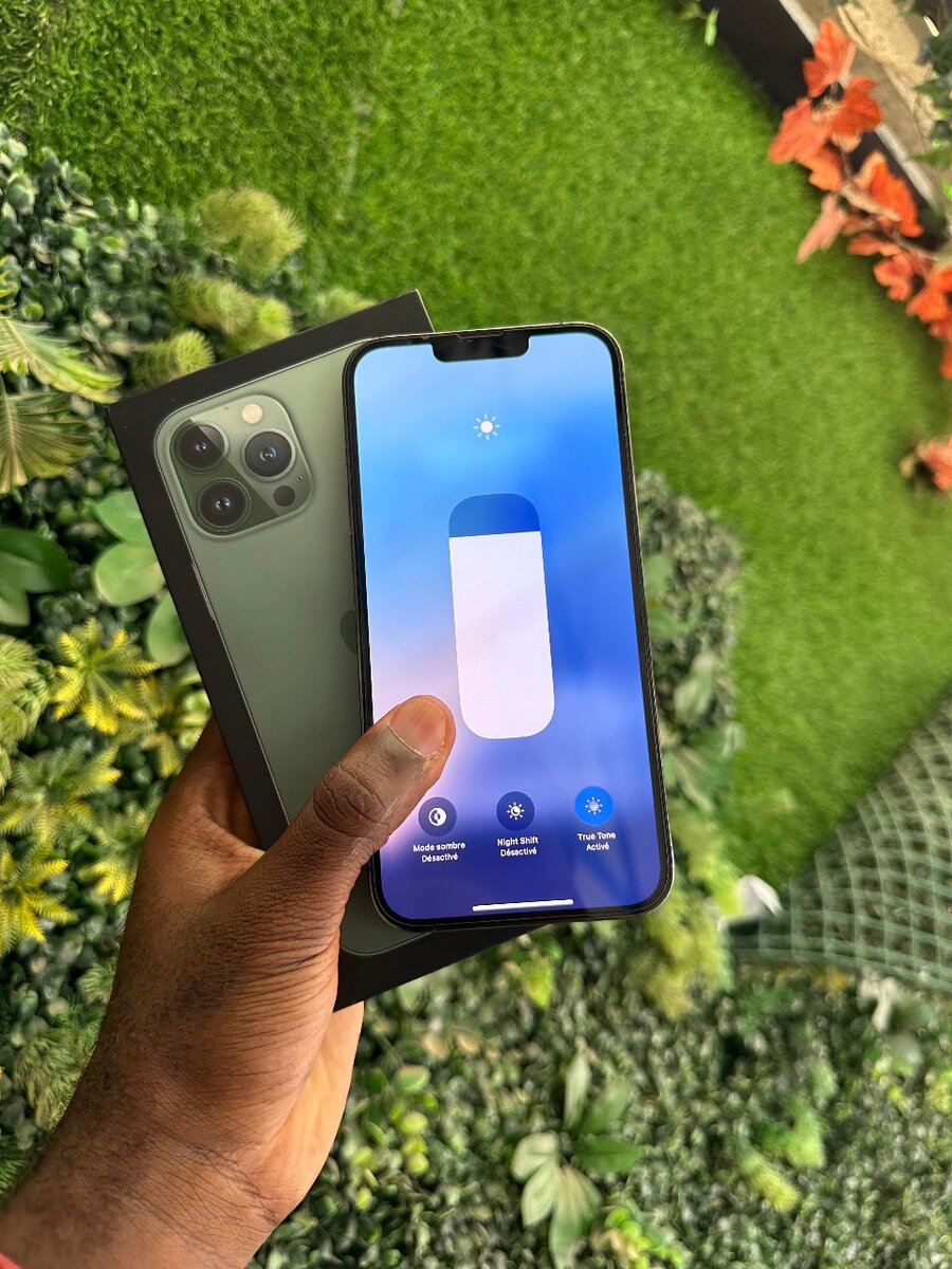 iPhone 13 Pro Max CE 256 giga