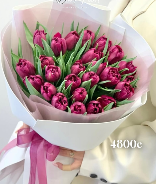 Розовые тюльпаны