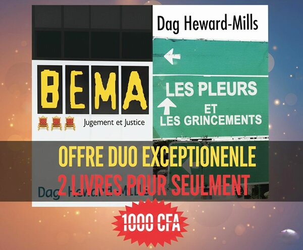 Lot 2 Livres Dag Heward-Mills
