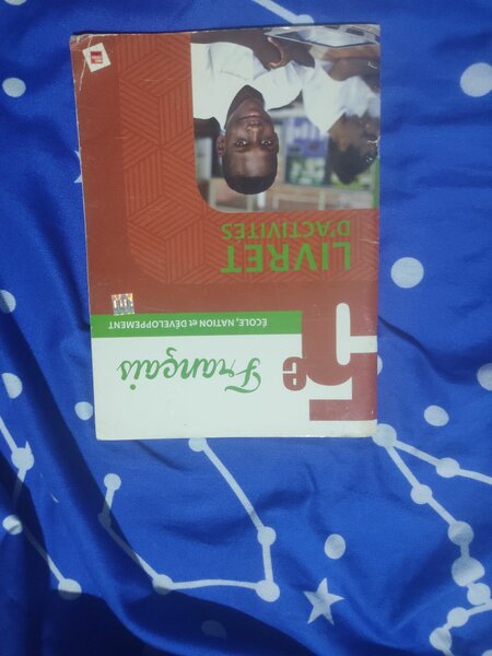 Lot de manuels scolaires 5e