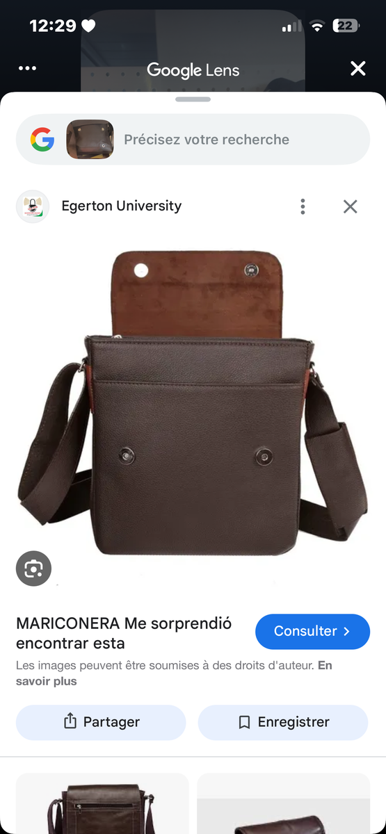 Sacoche en cuir élégante