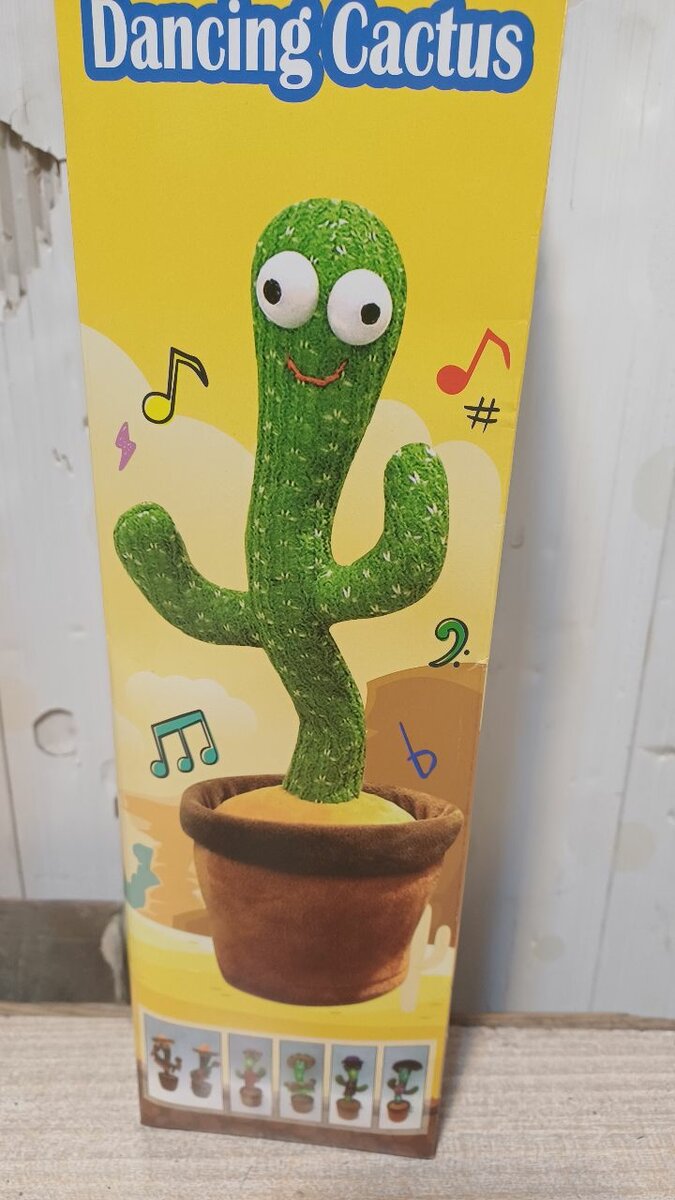 Dancing cactus