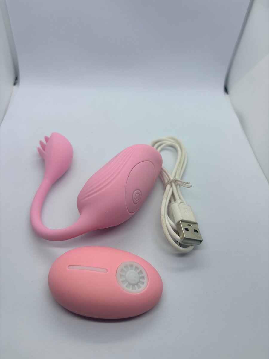 Œuf vibrant télécommandé USB